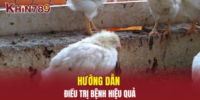 Bệnh Gumboro - Nguyên Nhân, Triệu Chứng Và Cách Phòng Trị 3 Hướng dẫn điều trị bệnh hiệu quả