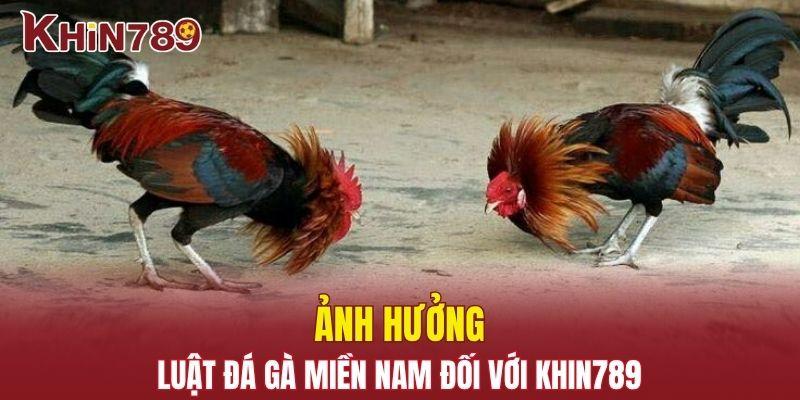 Tổng Quan Luật Đá Gà Miền Nam Và Những Điều Cần Biết 2025 2 Ảnh hưởng của luật đá gà miền Nam đối với Khin789