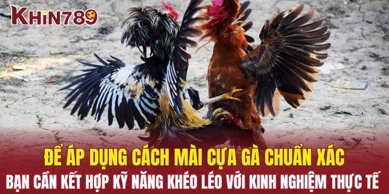 Cách Mài Cựa Gà - Bí Quyết Tạo Lợi Thế Trong Từng Trận Đấu 3 Bạn cần kết hợp kỹ năng khéo léo với kinh nghiệm thực tế
