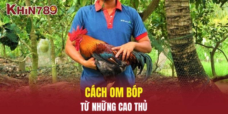Bí Quyết Om Bóp Gà Chọi Đỉnh Cao Từ Những Sư Kê Lâu Năm 2 Bí quyết om bóp gà chọi từ những cao thủ