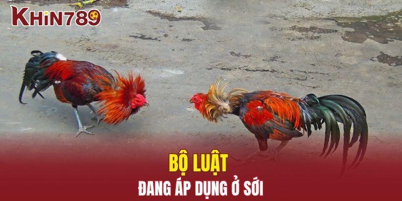 Đá Gà Campuchia - Cuộc Đọ Sức Hấp Dẫn Không Thể Bỏ Lỡ 3 Luật đang áp dụng ở sới