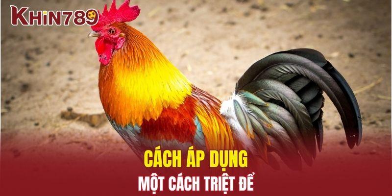 Màu Mạng Chiến Kê - Cách Xem Gà Cực Hay Mà Bạn Cần Biết 2 Cách áp dụng một cách triệt để