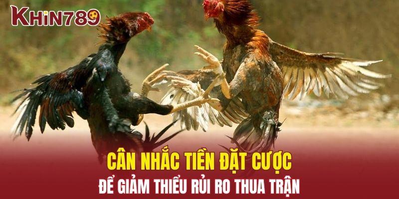 Đá Gà Đòn Khin789 – Trải Nghiệm Những Trận Đấu Đỉnh Cao 3 Cân nhắc tiền đặt cược để giảm thiểu rủi ro thua trận