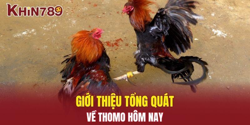 Thomo Hôm Nay - Xem Những Trận Đấu Gay Cấn Hiện Giờ 1 Giới thiệu tổng quát về Thomo hôm nay