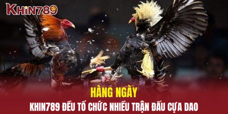 Đá Gà Khin789 - Sân Đấu Online Cho Dân Đam Mê Gà Chọi 2 Hàng ngày Khin789 đều tổ chức nhiều trận đấu cựa dao