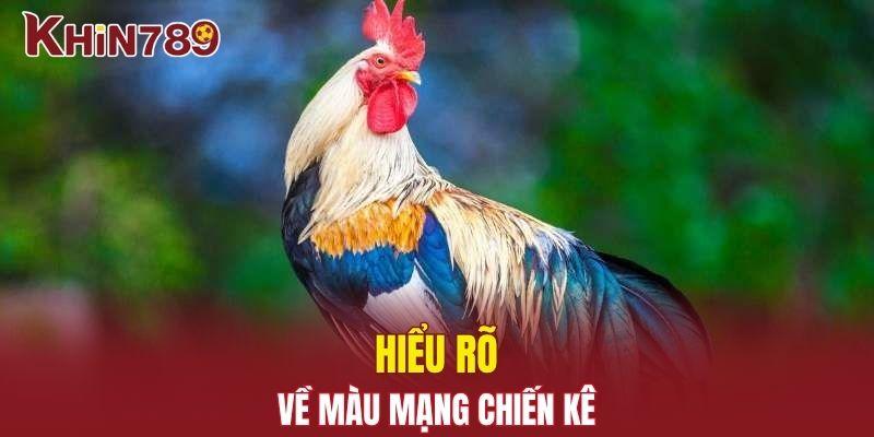 Màu Mạng Chiến Kê - Cách Xem Gà Cực Hay Mà Bạn Cần Biết 1 Hiểu rõ về màu mạng chiến kê