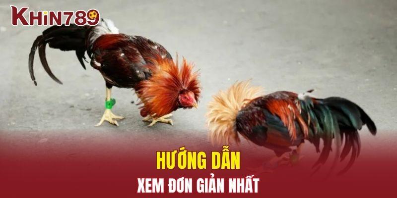 Trực Tiếp Đá Gà - Sàn Đấu Rực Lửa Dành Cho Người Đam Mê 3 Hướng dẫn xem đơn giản nhất