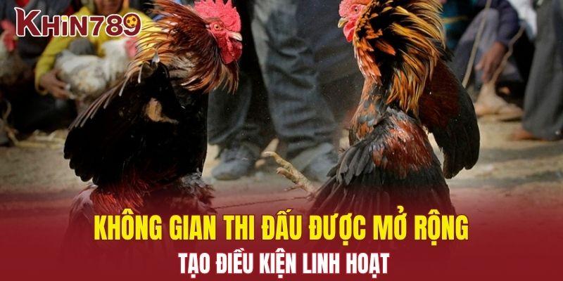 Đá Gà Đòn Khin789 – Trải Nghiệm Những Trận Đấu Đỉnh Cao 2 Không gian thi đấu được mở rộng tạo điều kiện linh hoạt