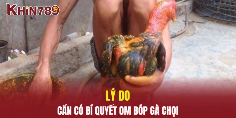Bí Quyết Om Bóp Gà Chọi Đỉnh Cao Từ Những Sư Kê Lâu Năm 1 Lý do cần phải có bí quyết om bóp gà chọi