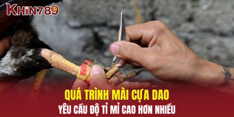 Cách Mài Cựa Gà - Bí Quyết Tạo Lợi Thế Trong Từng Trận Đấu 2 Mài cựa dao yêu cầu độ tỉ mỉ cao