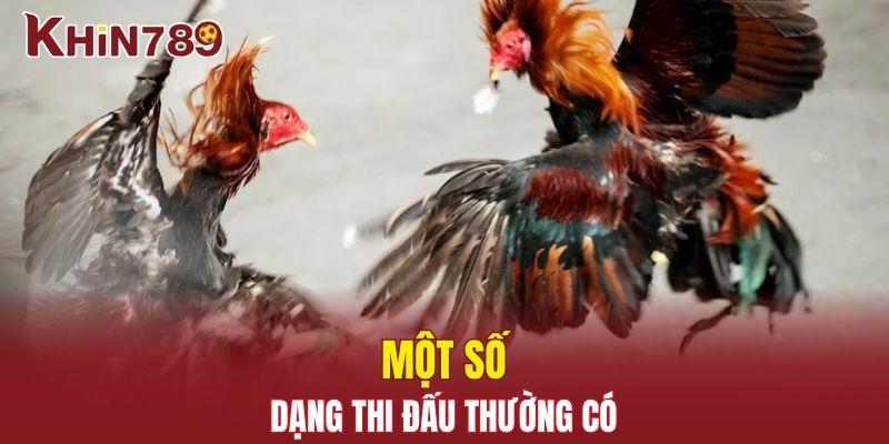 Trực Tiếp Đá Gà - Sàn Đấu Rực Lửa Dành Cho Người Đam Mê 2 Một số dạng thi đấu thường có