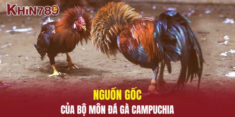 Đá Gà Campuchia - Cuộc Đọ Sức Hấp Dẫn Không Thể Bỏ Lỡ 1 Nguồn gốc khi nói về bộ môn đá gà Campuchia