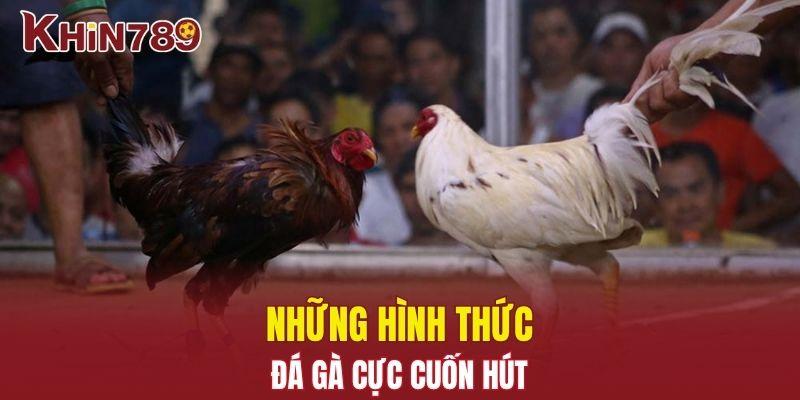 Đá Gà 67 – Trải Nghiệm Cực Hay Dành Riêng Cho Kê Thủ 2 Những hình thức đá cực cuốn hút