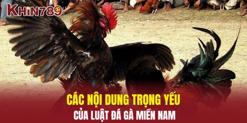 Tổng Quan Luật Đá Gà Miền Nam Và Những Điều Cần Biết 2025 3 Các nội dung trọng yếu của luật đá gà miền Nam