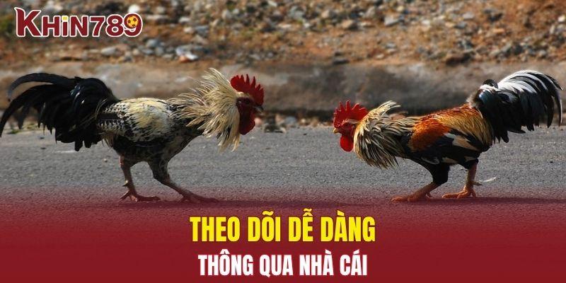 Thomo Hôm Nay - Xem Những Trận Đấu Gay Cấn Hiện Giờ 2 Theo dõi dễ dàng thông qua nhà cái