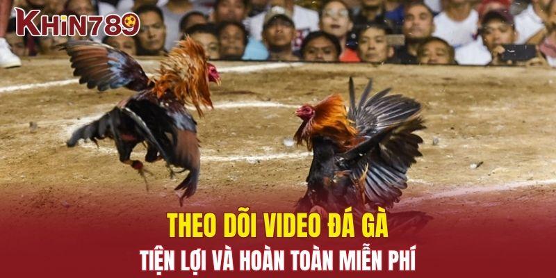Video Đá Gà - Giải Trí Máu Lửa, Sôi Động Cùng Chiến Kê 3 Theo dõi video đá gà tiện lợi và hoàn toàn miễn phí