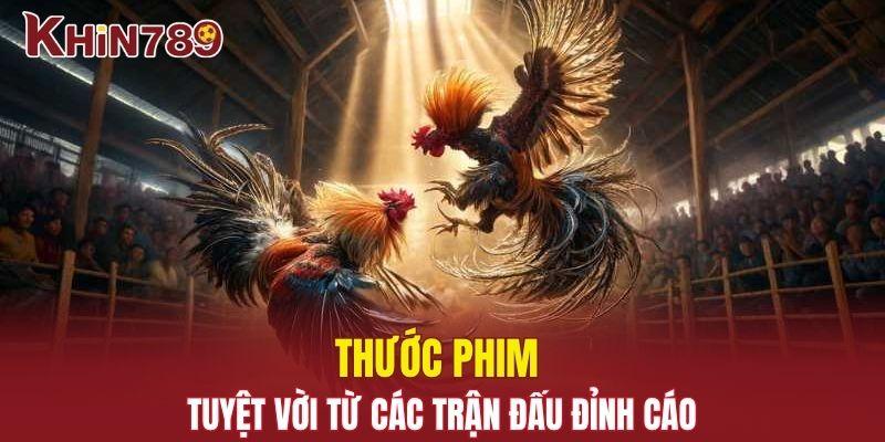 Video Đá Gà - Giải Trí Máu Lửa, Sôi Động Cùng Chiến Kê 2 Thước phim tuyệt vời từ các trận đấu đỉnh cáo