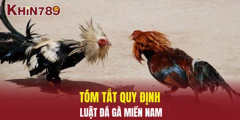 Tổng Quan Luật Đá Gà Miền Nam Và Những Điều Cần Biết 2025 1 Tóm tắt quy định luật đá gà miền Nam