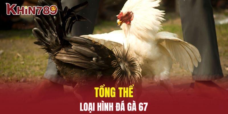 Đá Gà 67 – Trải Nghiệm Cực Hay Dành Riêng Cho Kê Thủ 1 Tổng thể về loại hình đá gà 67